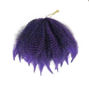 Amir Soft Afro kinky Curly Twist Braids Crochet Hair Synthetic Braiding Hair Extension For Black/ White Women