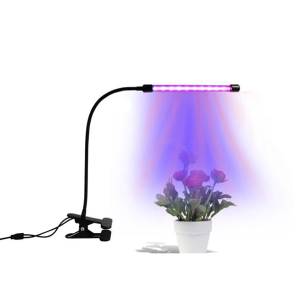 Phyto Lamp Timer Full Spectrum USB Grow Light Lamp For Plants Full Spactrum Lights For Plants Garden Flowers Herbs Grow Box