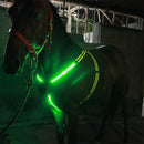 Hi Viz Horse LED Peto Collar Halter Head Arnés Ajustable Reflectante Ecuestre Peto Collar Correa