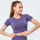 Conjunto de Yoga sin costuras para mujer, ropa de Fitness, conjunto de gimnasio de 2 piezas, Top corto, Leggings, conjunto deportivo para mujer, ropa de entrenamiento