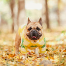 [MPK Dog Winter Wear] Bak-Kiann Dog Sweater, Luxurious Warm Clothing for French Bulldogs