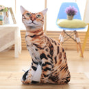 LREA 50cm 3D The simulation cat Cushion COVER Sofa /seat/bed/car /hotel Home Decoration Pillow case Covers