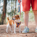 Modisches Hundegeschirr mit niedlichem Muster und leuchtenden Farben aus atmungsaktivem Stoff