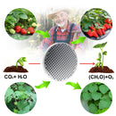 1000W Grow Light Full Spectrum Indoor LED Growing Lamps AC85-265V Plant Growth Lighting for Plants Flowers Seedlings Cultivation