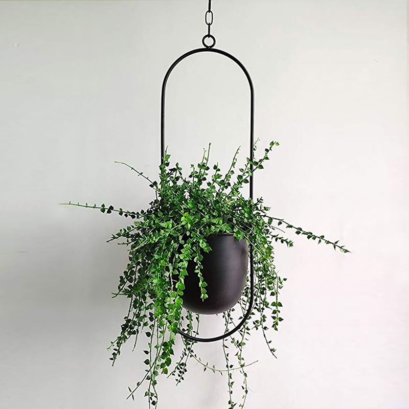 Maceta colgante de hierro de Metal, cesta de flores oscilante decorativa, maceta colgante de pared, cesta colgante decorativa, montaje en pared