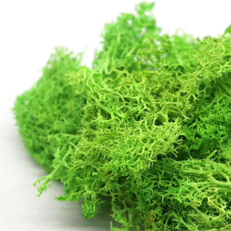 200g/bag  artificial green plants immortal fake flower Moss grass home garden decorative wall DIY flower grass accessories