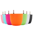 PP Self Watering Planters Flower Pots Indoor with Water Level Indicators 6x5'' New Hot