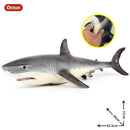 Oenux Large Size Sea Life Animals Soft Great White Shark Big Shark Action Figures Model Lifelike Educational Toys For Kids Gift