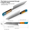 XITUO Damascus Kitchen Knife Japan VG10 Steel Professional Kiritsuke Chef knife Octagonal Blue Resin Handle New Cleaver Gift Hot