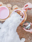 Ceramic Cat Bowl Dog Bowl Single And Double Pet Bowl Cat Dog Feeder Water Bowl With Stand Feeding Dish Food Bowl Pets Supplies