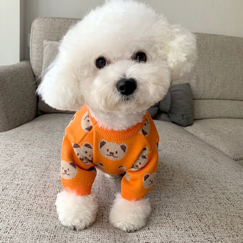 Kawaii Bär Hundepullover Orange Hundekleidung Chihuahua Pullover Pomeranian Hoodie Winter Korean Style Hundekleidung Haustiere Kostüme