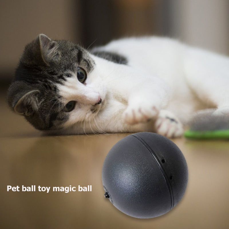 Bola de rodillo mágica eléctrica para mascotas alimentada por batería de 5 uds., suministros de juguetes de agilidad para perros, juguetes divertidos automáticos para perros y gatos