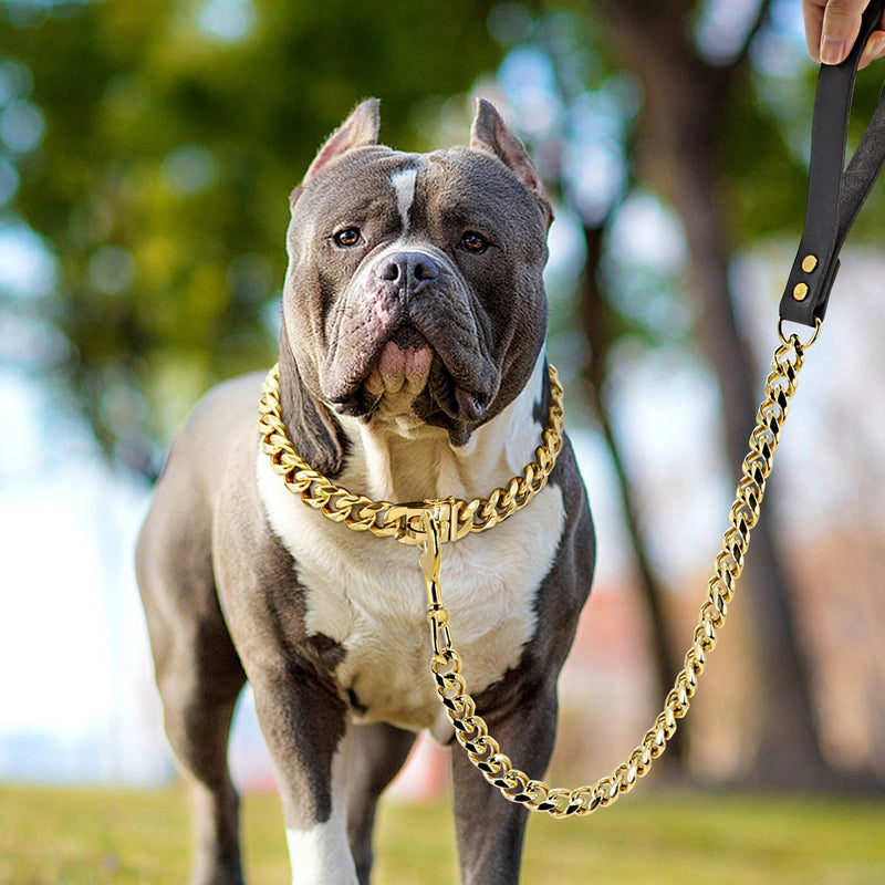 304 Edelstahl Hundekette Halsband und Leine Superstarkes Hundehalsband aus Metall, Choke, Silber, Gold, Haustier-Bleiseil für Partyshow