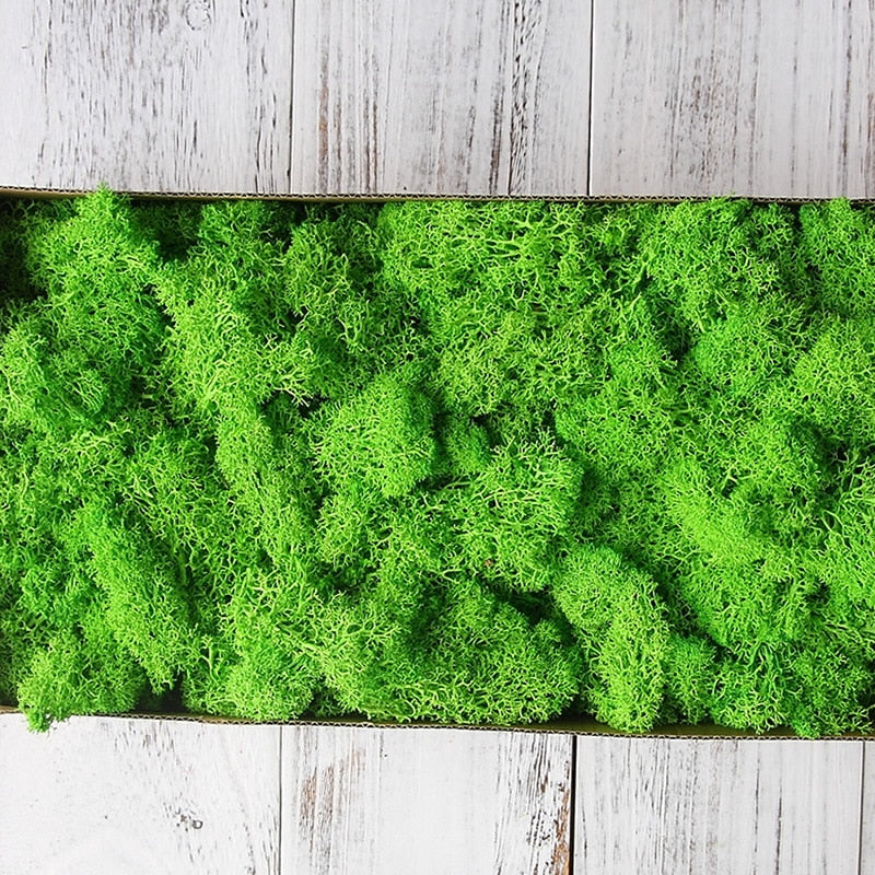 200g/bag  artificial green plants immortal fake flower Moss grass home garden decorative wall DIY flower grass accessories