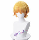 Anime Costume Demon Slayer Cosplay Tanjirou Kamado Cosplay Costume Kimetsu no Yaiba Men Kimono Halloween Costume