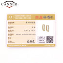 CANNER 100% 925 Sterling Silver Luxury CZ Crystal Circle Round Hoop Earrings for Women Piercing Earrings Silver 925 Jewelry