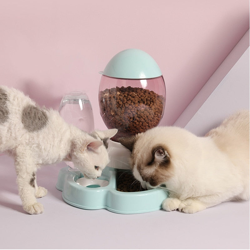 1.7L Pet Dog Cat Automatic Feeder Bowl for Cats Drinker Water 650ml Bottle Kitten Bowls Dogs Food Feeding Container Supplies