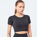 Conjunto de Yoga sin costuras para mujer, ropa de Fitness, conjunto de gimnasio de 2 piezas, Top corto, Leggings, conjunto deportivo para mujer, ropa de entrenamiento
