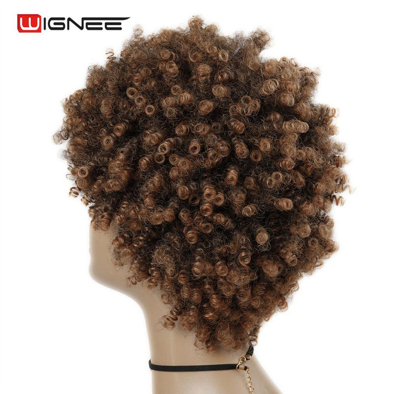 Wignee Short Hair Synthetic Wigs Afro Kinky Curly Heat Resistant for Women Mixed Brown Cosplay African Hairstyles Daily Hair Wig