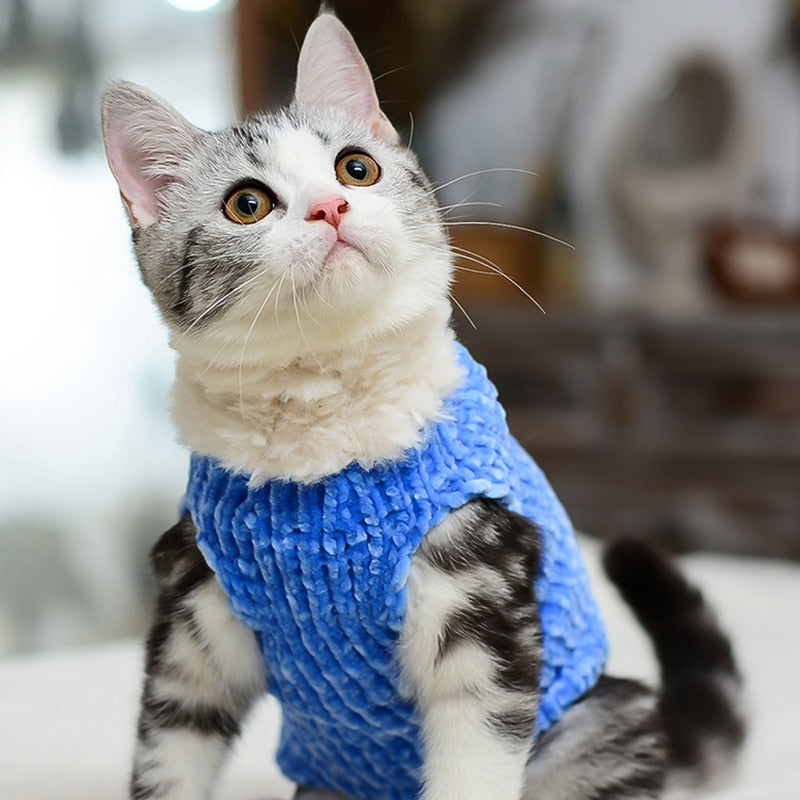 [MPK Store]Hairless cat sphinx cat clothes handmade sweater warm vest autumn and winter