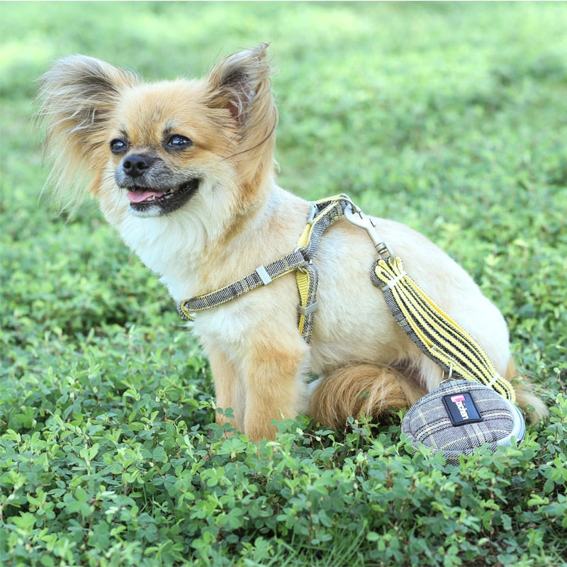 Juego de arnés y correa suave para perro, Collar ajustable de nailon para perro Chihuahua para perros pequeños y medianos, productos para mascotas que caminan