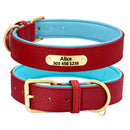 Custom Engraved Dog Collar Leather Padded Dogs Collars With Personalized  ID Plate Tag 2 Layers For Small Large Dogs Pitbull