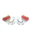 Repair teeth implant model with golden bar Denture Teeth mandibular model Dental Teaching Model