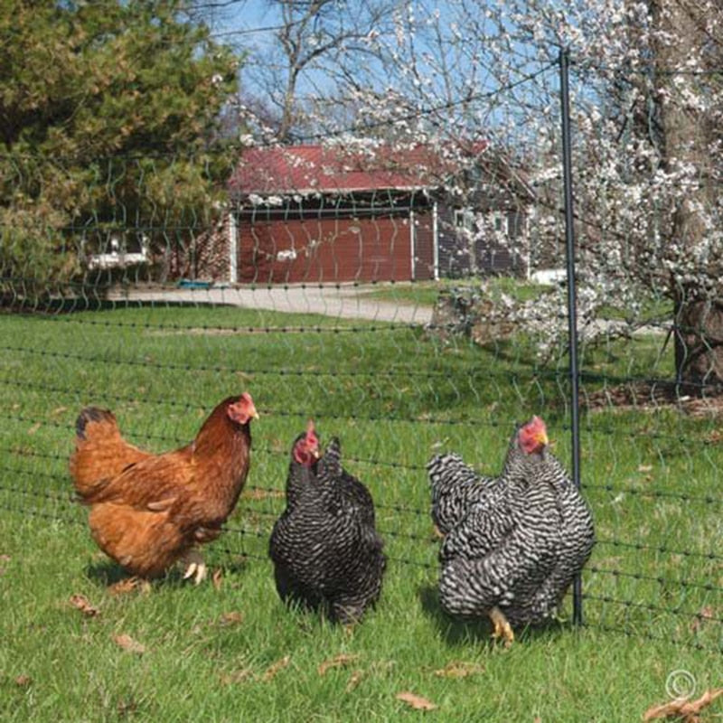 Anpassbares schweres landwirtschaftliches Schutznetz Gartennetz Gartenzaun Anti-Vogelnetz Zuchtnetz Fischnetz Hühnernetz