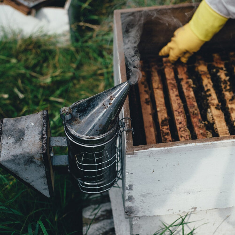 Pulverizador de humo de acero inoxidable, ahumador de abejas, apicultura, apicultor, equipo de apicultura de abeja ahumado dedicado, 1 ud.