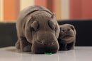 12&quot; Lifelike Standing Hippos Stuffed Animal Toys Soft Real Life Hippopotamus Plush Toy Birthday Gift For Kids