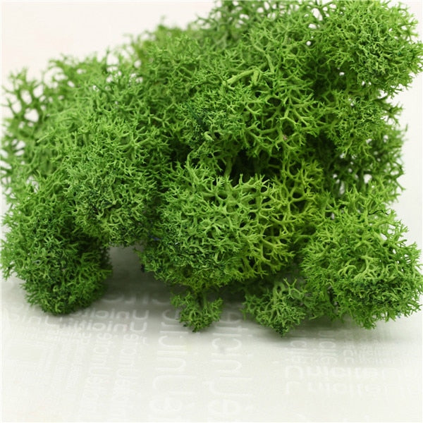 High Quality Artificial Green Plant Immortal Fake Flower Moss Grass Home Living Room Decorative Wall DIY Flower Mini Accessories