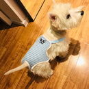 Pañales para perros, pantalones fisiológicos para perros, pantalones cortos lavables para perros, ropa interior rosa para mascotas pequeñas y medianas