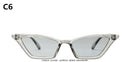 ZXWLYXGX 2020 new cat eye sunglasses women brand design retro colorful transparent colorful fashion cateye sun glasses men UV400