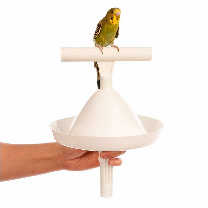 Soporte para loros CAITEC, juguetes para pájaros, percha portátil y herramienta de entrenamiento, soporte ligero para pájaros, herramienta resistente y segura para loros de todos los tamaños