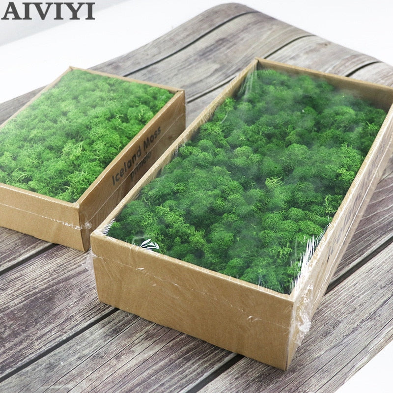 High Quality Artificial Green Plant Immortal Fake Flower Moss Grass Home Living Room Decorative Wall DIY Flower Mini Accessories