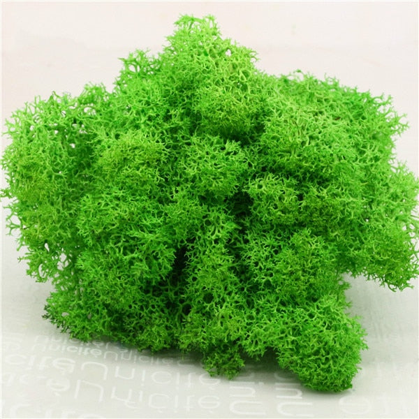 High Quality Artificial Green Plant Immortal Fake Flower Moss Grass Home Living Room Decorative Wall DIY Flower Mini Accessories