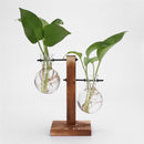 Glass Wood Vase Planter Terrarium Table Desktop Hydroponics Plant Bonsai Hanging Flower Pot with Wooden Tray Home Decoration