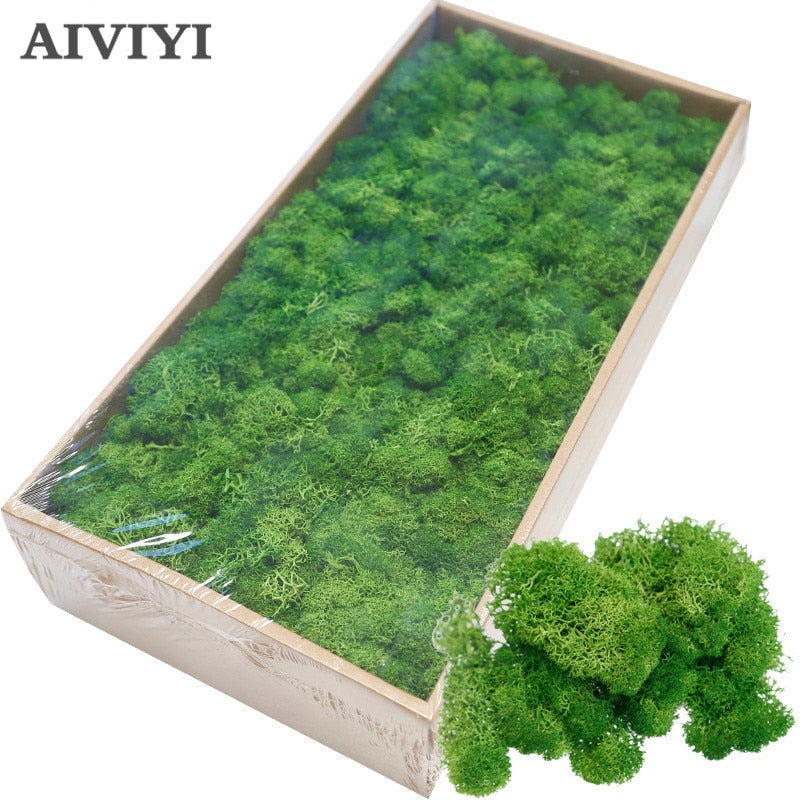 High Quality Artificial Green Plant Immortal Fake Flower Moss Grass Home Living Room Decorative Wall DIY Flower Mini Accessories