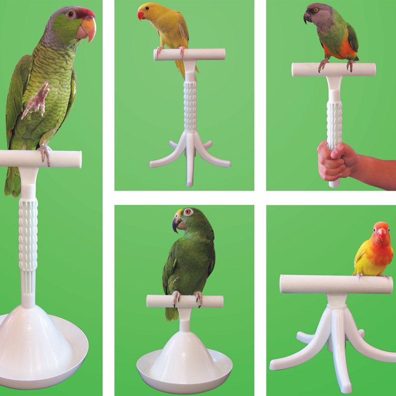 CAITEC Parrot Stand Bird Toys Portable Perch and Training Tool Light Weight Bird Stand Safe Sturdy Tool for All Sizes Parrots