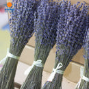100g dried natural flower bouquets dried natural Lavender flower bouquet&amp;lavender flower Bunches