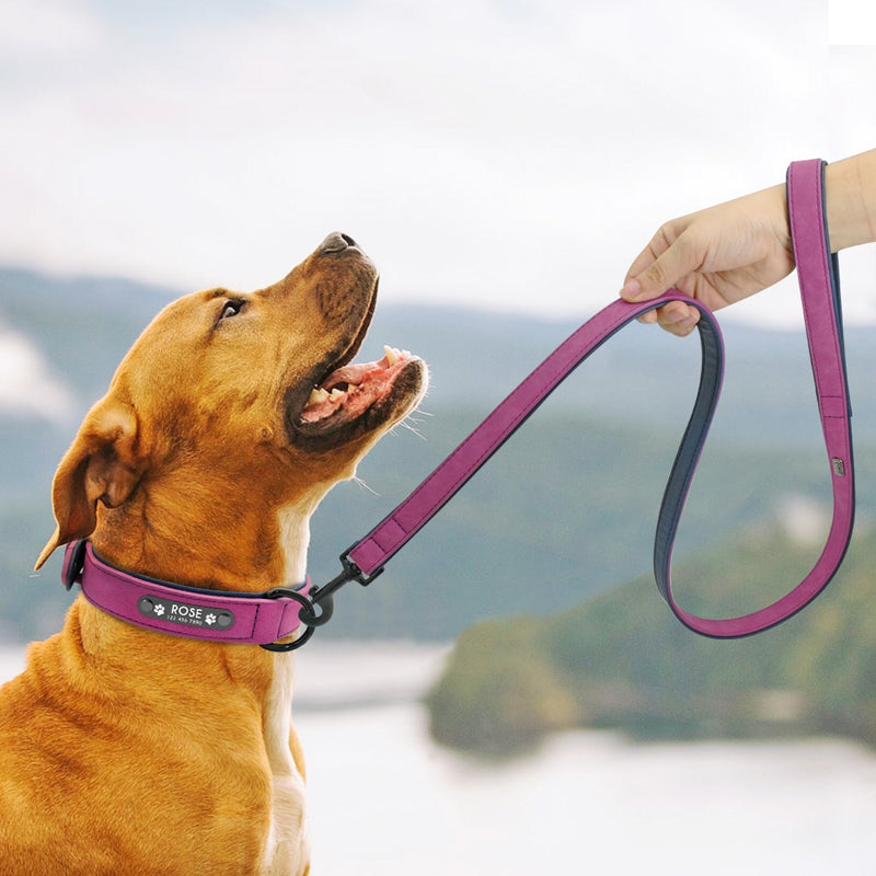 Collar de cuero para perro, juego de correas, collares de perros suaves personalizados, acolchado de plomo para perros pequeños, medianos y grandes, Pitbull, Bulldog francés