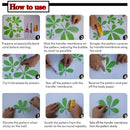 Mandala Circle Trees Vinyl Wall Decals Home Decor Fitness Yoga Tree Wall Sticker Tree Of Life Yoga Studio Wall Murals AZ044