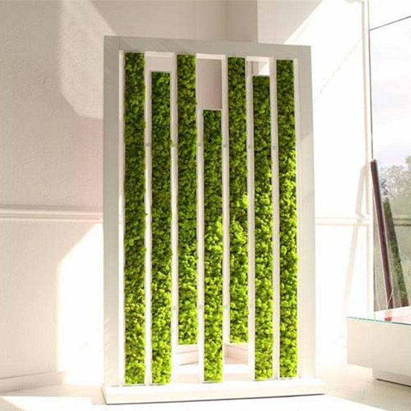 High Quality Artificial Green Plant Immortal Fake Flower Moss Grass Home Living Room Decorative Wall DIY Flower Mini Accessories