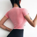 Seamless Crop Top Women Sport Shirt Yoga Top Fitness Women Sport Top Gym Short Sleeve Workout Shirt Sports Wear For Women Gym