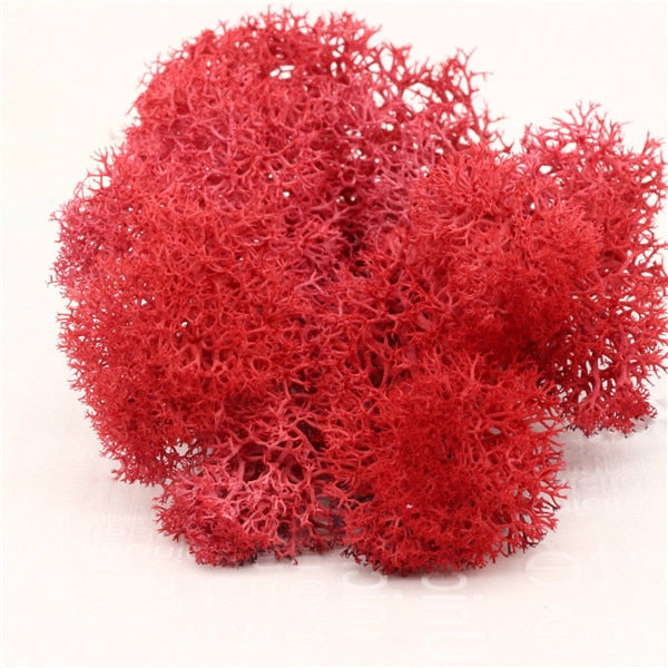 High Quality Artificial Green Plant Immortal Fake Flower Moss Grass Home Living Room Decorative Wall DIY Flower Mini Accessories