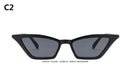 ZXWLYXGX 2020 new cat eye sunglasses women brand design retro colorful transparent colorful fashion cateye sun glasses men UV400
