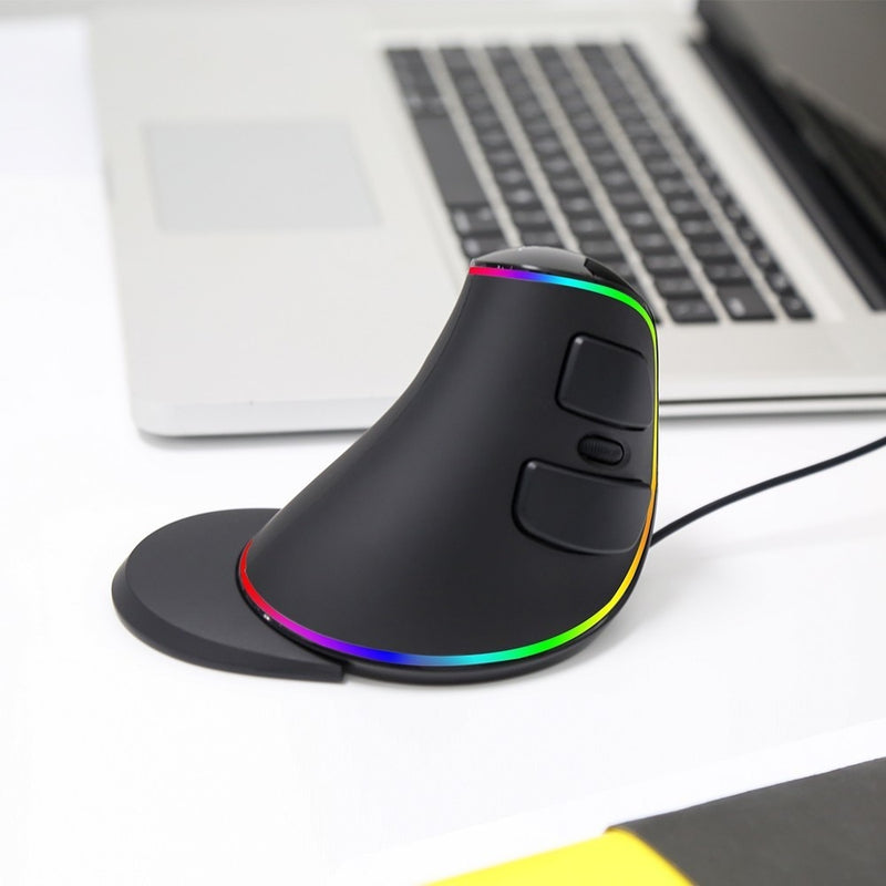 Delux M618Plus RGB Ergonomische Vertikale Maus 6 Tasten 4000 DPI Optische Computermaus mit abnehmbarer Handballenauflage für PC Laptop