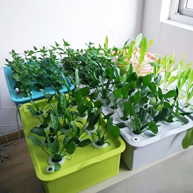 24 Löcher Plant Site Hydroponic Kit Gartentöpfe Pflanzgefäße Sämlingstöpfe Indoor-Anbaubox Growkit Bubble Nursery Pots 1 Set