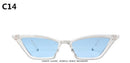 ZXWLYXGX 2020 new cat eye sunglasses women brand design retro colorful transparent colorful fashion cateye sun glasses men UV400