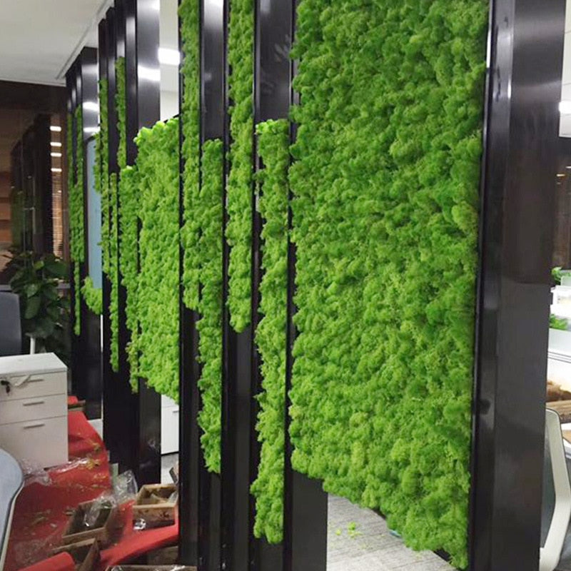 High Quality Artificial Green Plant Immortal Fake Flower Moss Grass Home Living Room Decorative Wall DIY Flower Mini Accessories